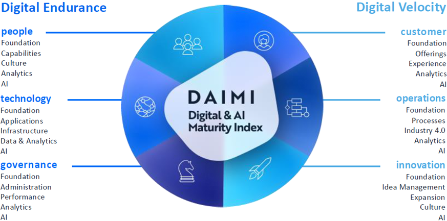 DAIMI assessment dimensions diagram